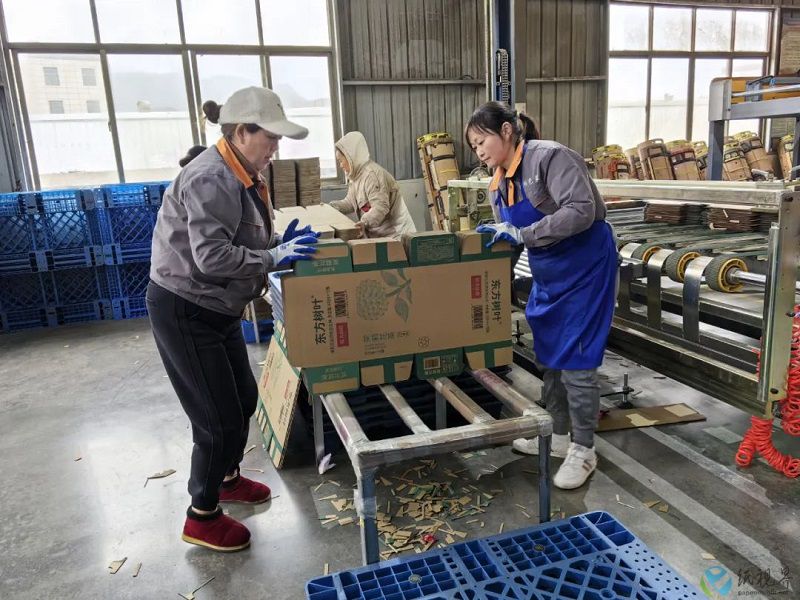 贵州铜仁一纸箱厂加足马力忙生产,目标年产值2亿元
